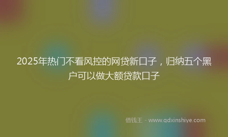 2025年热门不看风控的网贷新口子，归纳五个黑户可以做大额贷款口子