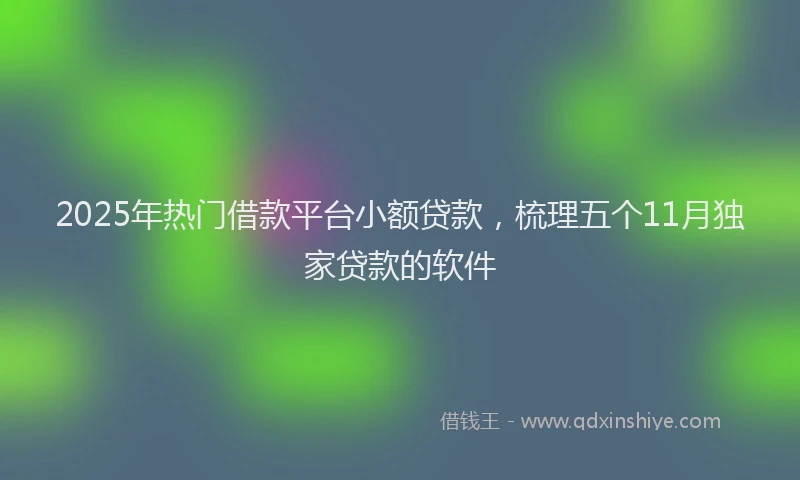 2025年热门借款平台小额贷款，梳理五个11月独家贷款的软件