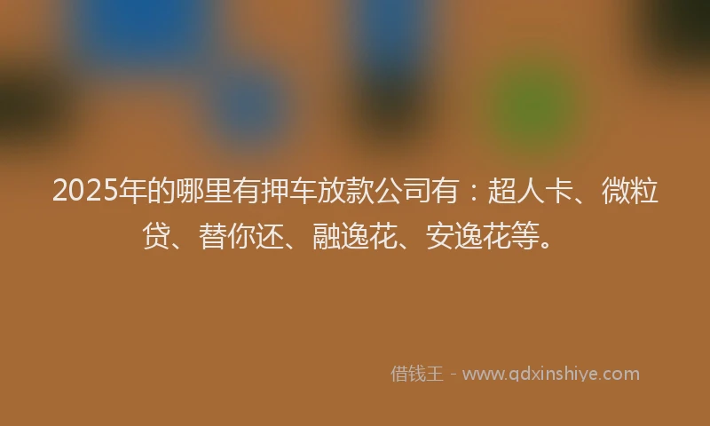 2025年的哪里有押车放款公司有：超人卡、微粒贷、替你还、融逸花、安逸花等。