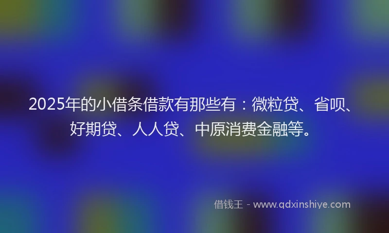 2025年的小借条借款有那些有：微粒贷、省呗、好期贷、人人贷、中原消费金融等。