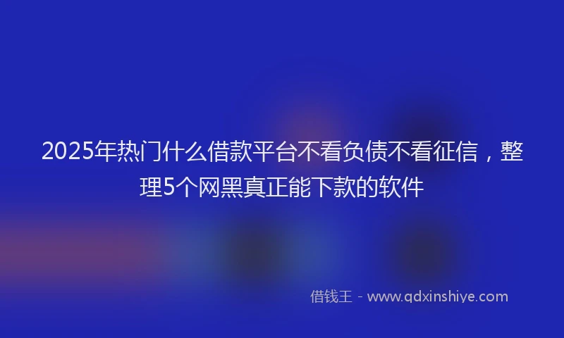 2025年热门什么借款平台不看负债不看征信，整理5个网黑真正能下款的软件