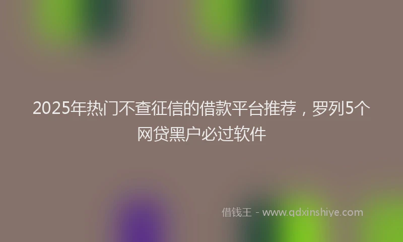 2025年热门不查征信的借款平台推荐，罗列5个网贷黑户必过软件