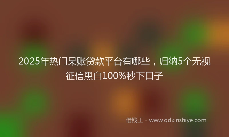 2025年热门呆账贷款平台有哪些，归纳5个无视征信黑白100%秒下口子