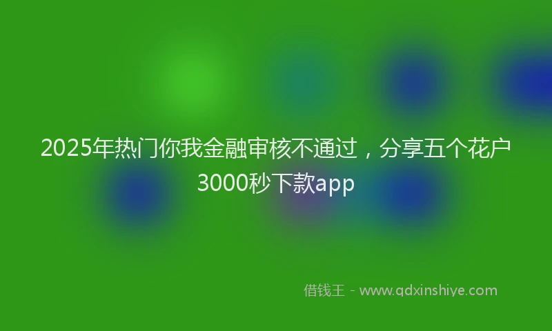 2025年热门你我金融审核不通过，分享五个花户3000秒下款app