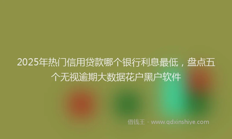 2025年热门信用贷款哪个银行利息最低，盘点五个无视逾期大数据花户黑户软件