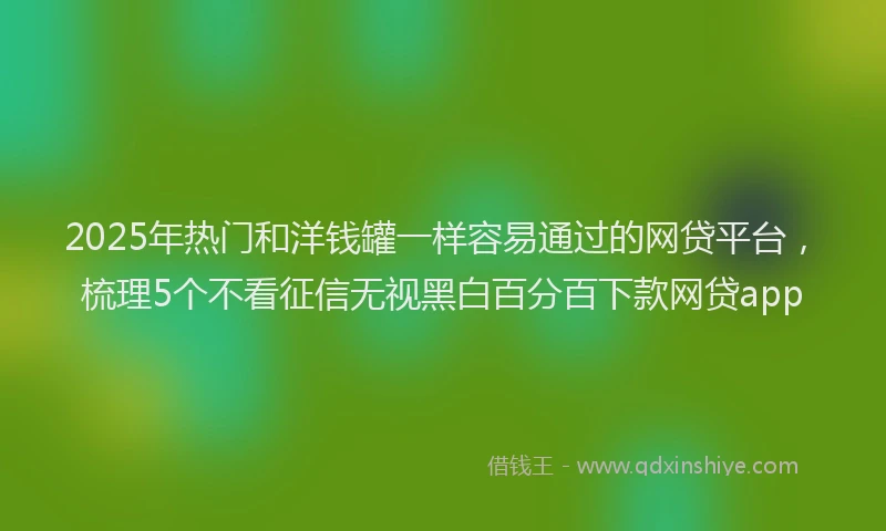 2025年热门和洋钱罐一样容易通过的网贷平台，梳理5个不看征信无视黑白百分百下款网贷app