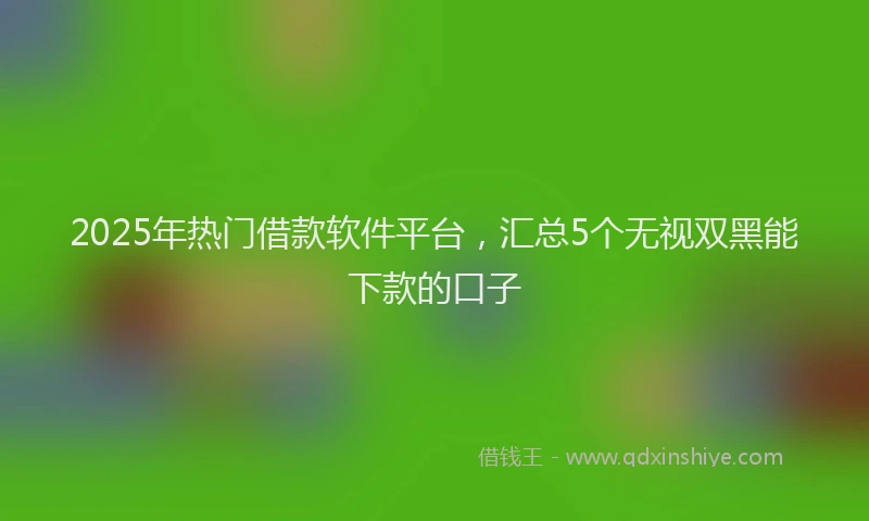 2025年热门借款软件平台，汇总5个无视双黑能下款的口子