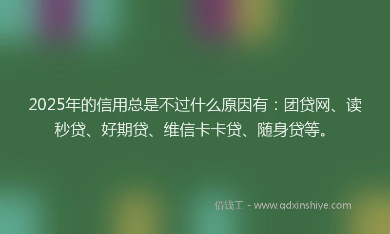 2025年的信用总是不过什么原因有：团贷网、读秒贷、好期贷、维信卡卡贷、随身贷等。