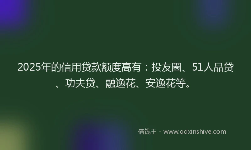 2025年的信用贷款额度高有：投友圈、51人品贷、功夫贷、融逸花、安逸花等。
