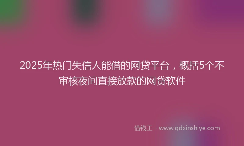 2025年热门失信人能借的网贷平台，概括5个不审核夜间直接放款的网贷软件