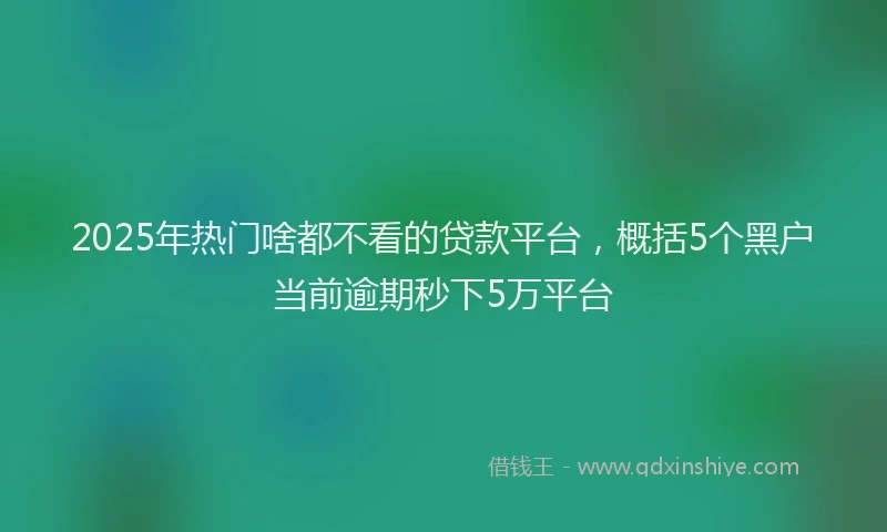 2025年热门啥都不看的贷款平台，概括5个黑户当前逾期秒下5万平台