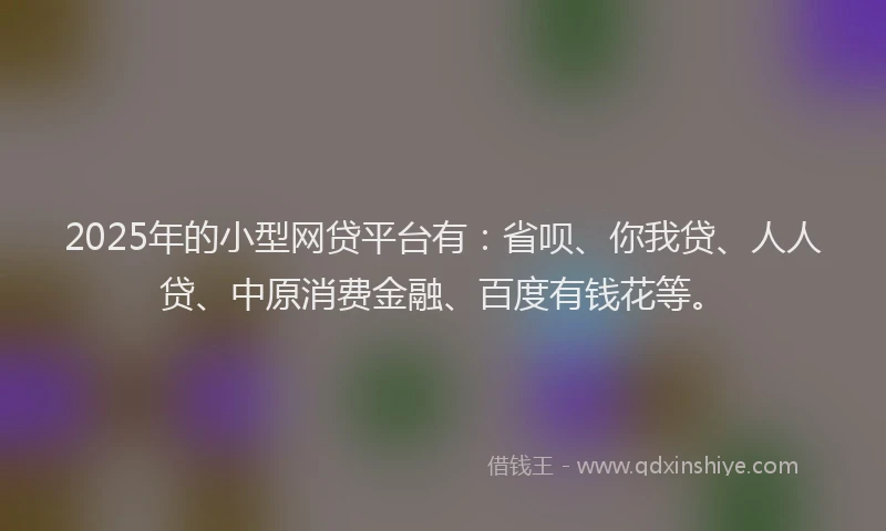 2025年的小型网贷平台有：省呗、你我贷、人人贷、中原消费金融、百度有钱花等。