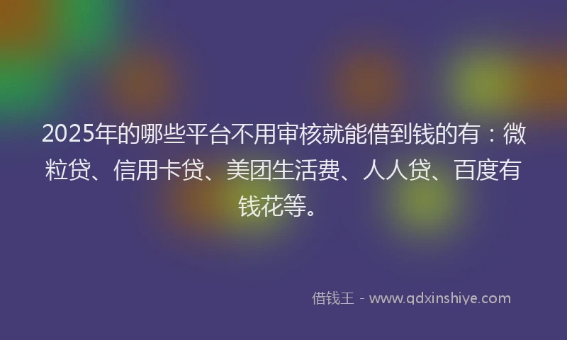 2025年的哪些平台不用审核就能借到钱的有：微粒贷、信用卡贷、美团生活费、人人贷、百度有钱花等。