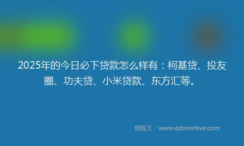 2025年的今日必下贷款怎么样有：柯基贷、投友圈、功夫贷、小米贷款、东方汇等。