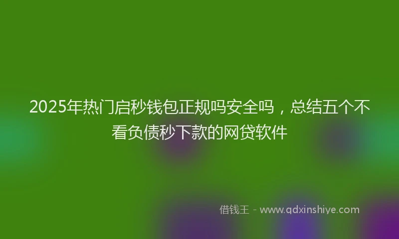 2025年热门启秒钱包正规吗安全吗，总结五个不看负债秒下款的网贷软件