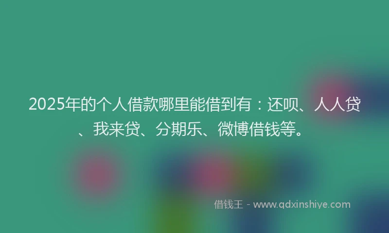 2025年的个人借款哪里能借到有：还呗、人人贷、我来贷、分期乐、微博借钱等。