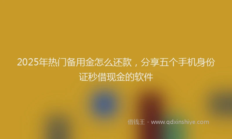 2025年热门备用金怎么还款，分享五个手机身份证秒借现金的软件