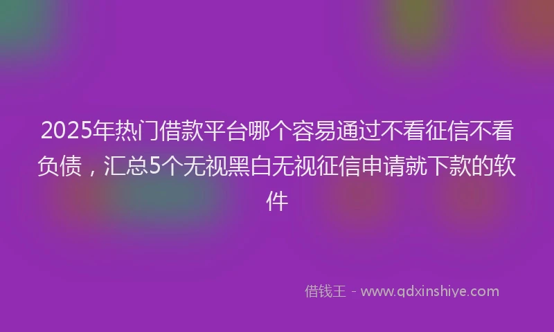 2025年热门借款平台哪个容易通过不看征信不看负债，汇总5个无视黑白无视征信申请就下款的软件