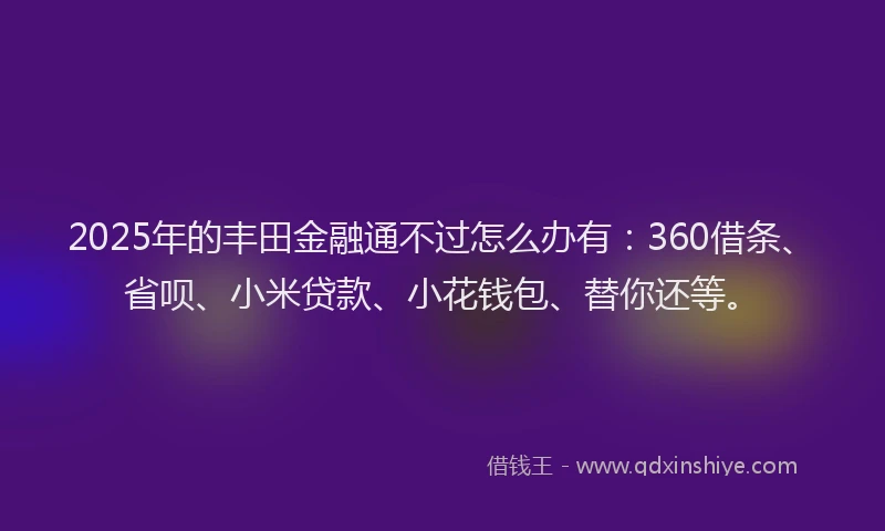 2025年的丰田金融通不过怎么办有：360借条、省呗、小米贷款、小花钱包、替你还等。