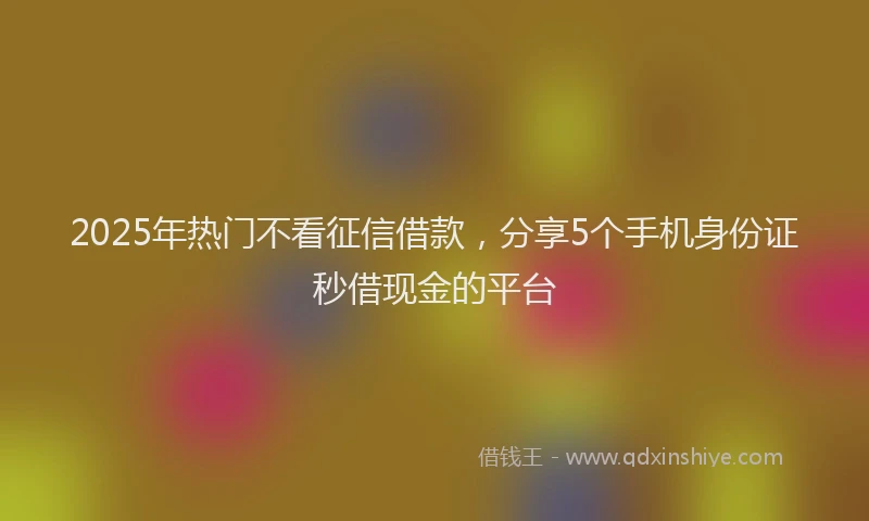 2025年热门不看征信借款，分享5个手机身份证秒借现金的平台