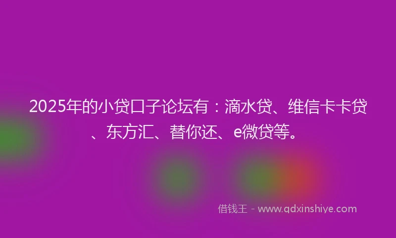 2025年的小贷口子论坛有：滴水贷、维信卡卡贷、东方汇、替你还、e微贷等。