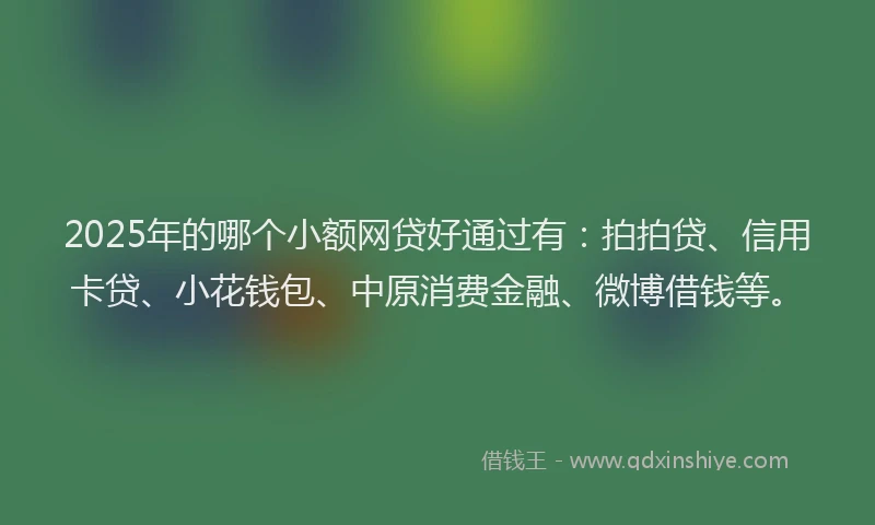 2025年的哪个小额网贷好通过有：拍拍贷、信用卡贷、小花钱包、中原消费金融、微博借钱等。