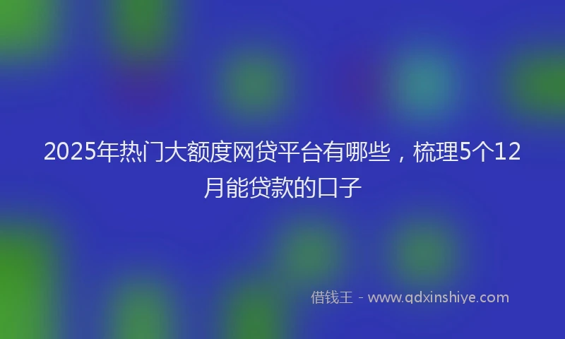 2025年热门大额度网贷平台有哪些，梳理5个12月能贷款的口子