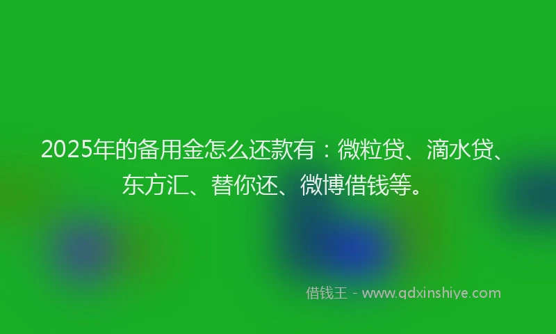 2025年的备用金怎么还款有：微粒贷、滴水贷、东方汇、替你还、微博借钱等。