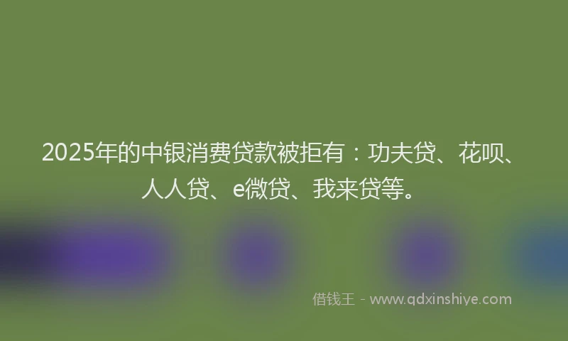 2025年的中银消费贷款被拒有：功夫贷、花呗、人人贷、e微贷、我来贷等。
