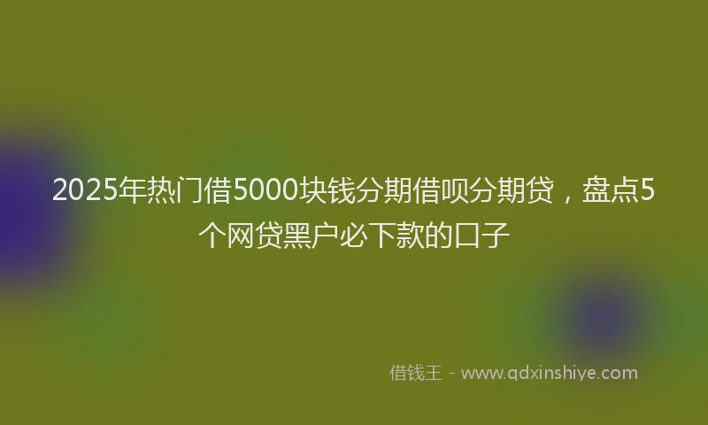 2025年热门借5000块钱分期借呗分期贷，盘点5个网贷黑户必下款的口子