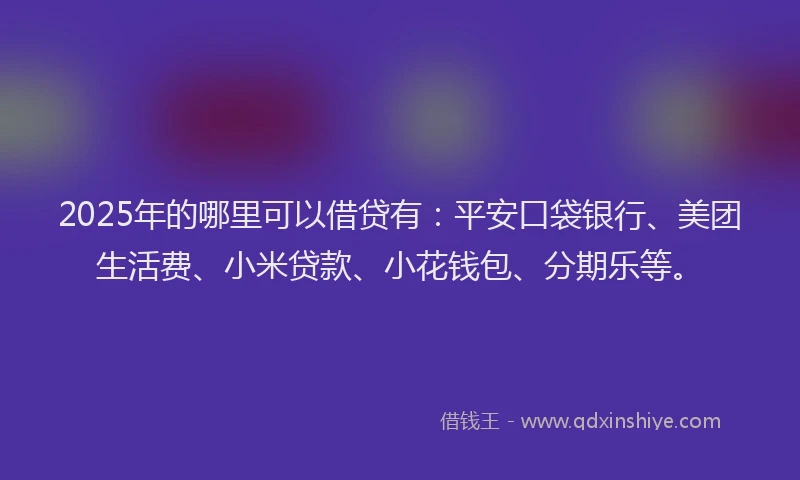 2025年的哪里可以借贷有：平安口袋银行、美团生活费、小米贷款、小花钱包、分期乐等。