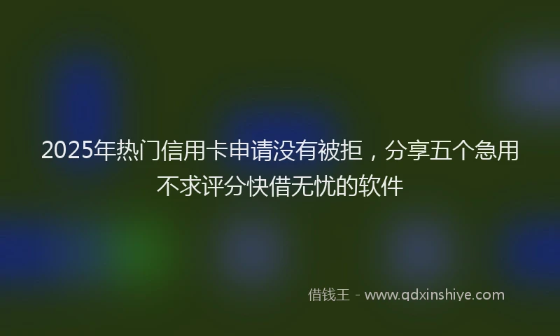 2025年热门信用卡申请没有被拒，分享五个急用不求评分快借无忧的软件