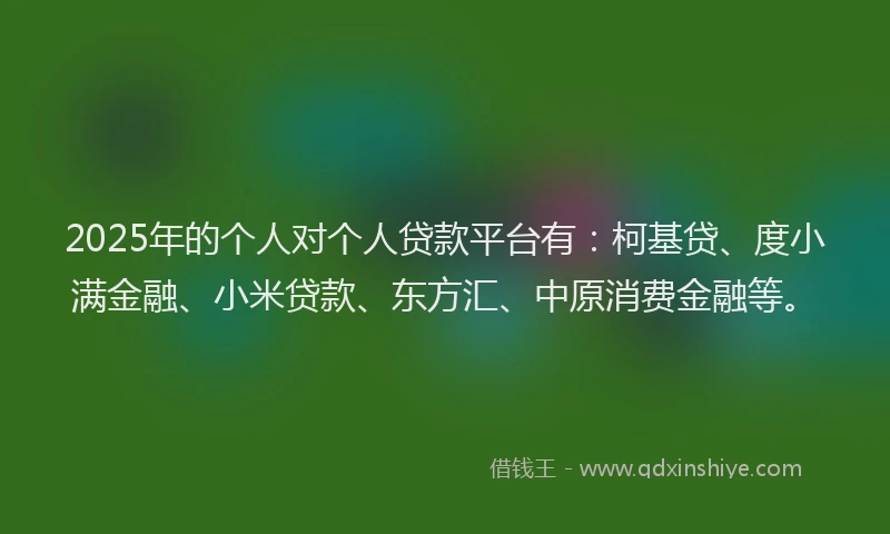 2025年的个人对个人贷款平台有：柯基贷、度小满金融、小米贷款、东方汇、中原消费金融等。