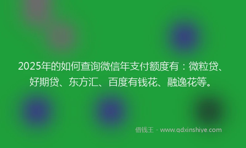 2025年的如何查询微信年支付额度有：微粒贷、好期贷、东方汇、百度有钱花、融逸花等。