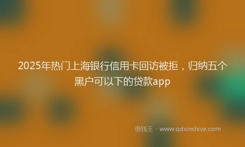2025年热门上海银行信用卡回访被拒，归纳五个黑户可以下的贷款app