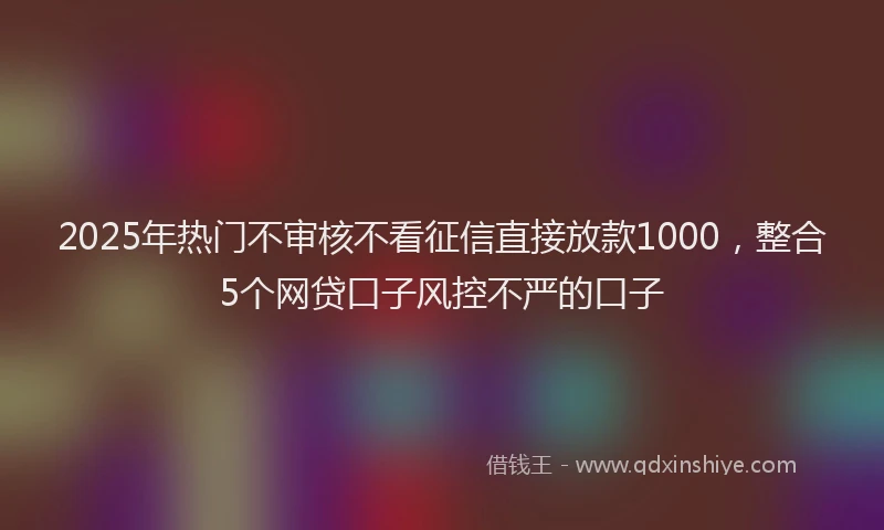 2025年热门不审核不看征信直接放款1000，整合5个网贷口子风控不严的口子