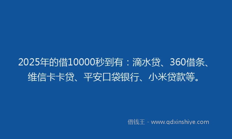 2025年的借10000秒到有：滴水贷、360借条、维信卡卡贷、平安口袋银行、小米贷款等。