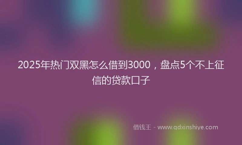 2025年热门双黑怎么借到3000，盘点5个不上征信的贷款口子