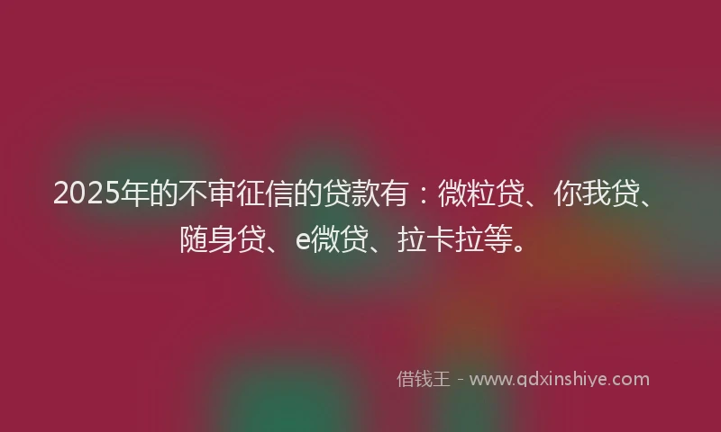 2025年的不审征信的贷款有：微粒贷、你我贷、随身贷、e微贷、拉卡拉等。