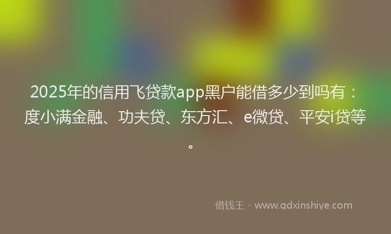 2025年的信用飞贷款app黑户能借多少到吗有：度小满金融、功夫贷、东方汇、e微贷、平安i贷等。