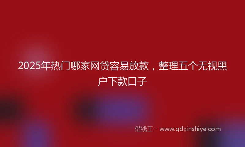 2025年热门哪家网贷容易放款，整理五个无视黑户下款口子