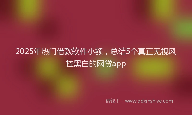 2025年热门借款软件小额，总结5个真正无视风控黑白的网贷app