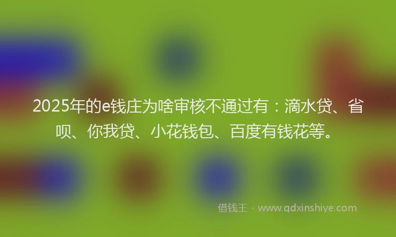2025年的e钱庄为啥审核不通过有：滴水贷、省呗、你我贷、小花钱包、百度有钱花等。