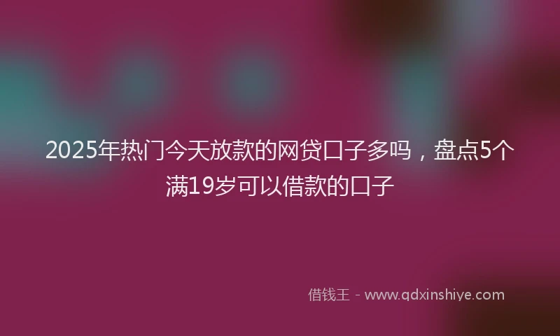 2025年热门今天放款的网贷口子多吗，盘点5个满19岁可以借款的口子