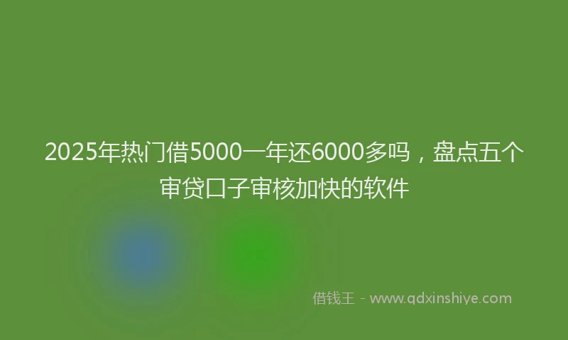 2025年热门借5000一年还6000多吗，盘点五个审贷口子审核加快的软件