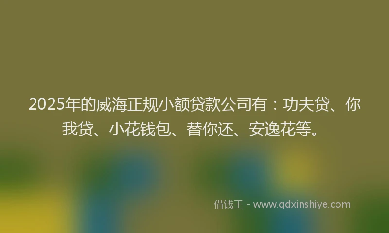 2025年的威海正规小额贷款公司有：功夫贷、你我贷、小花钱包、替你还、安逸花等。