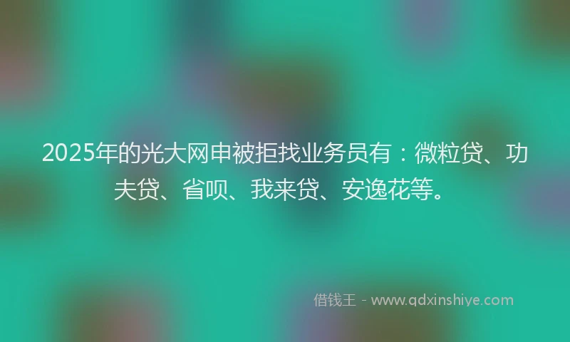 2025年的光大网申被拒找业务员有：微粒贷、功夫贷、省呗、我来贷、安逸花等。