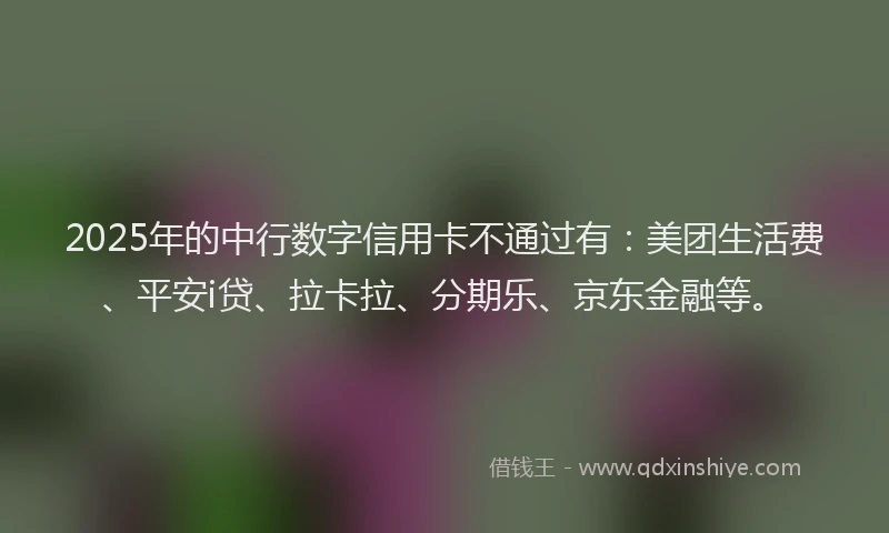 2025年的中行数字信用卡不通过有：美团生活费、平安i贷、拉卡拉、分期乐、京东金融等。