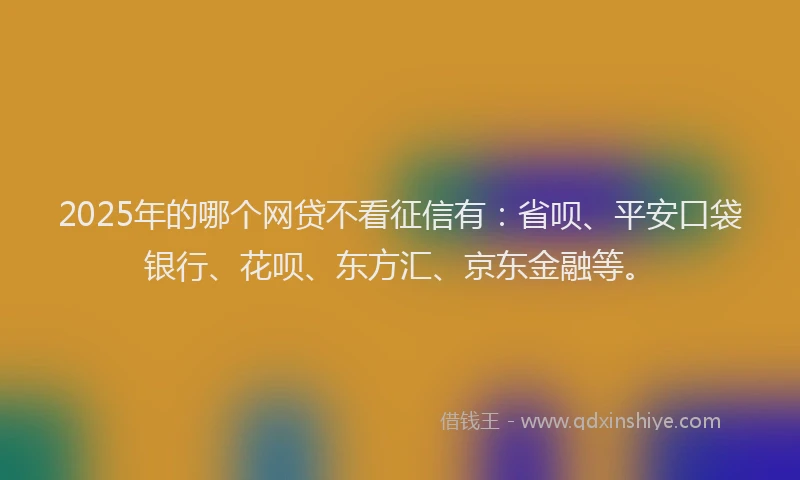 2025年的哪个网贷不看征信有：省呗、平安口袋银行、花呗、东方汇、京东金融等。