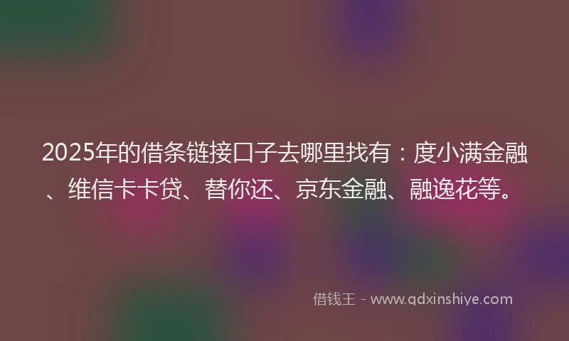 2025年的借条链接口子去哪里找有：度小满金融、维信卡卡贷、替你还、京东金融、融逸花等。